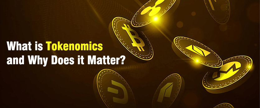 Why Does Tokenomics Matter and What Is It?