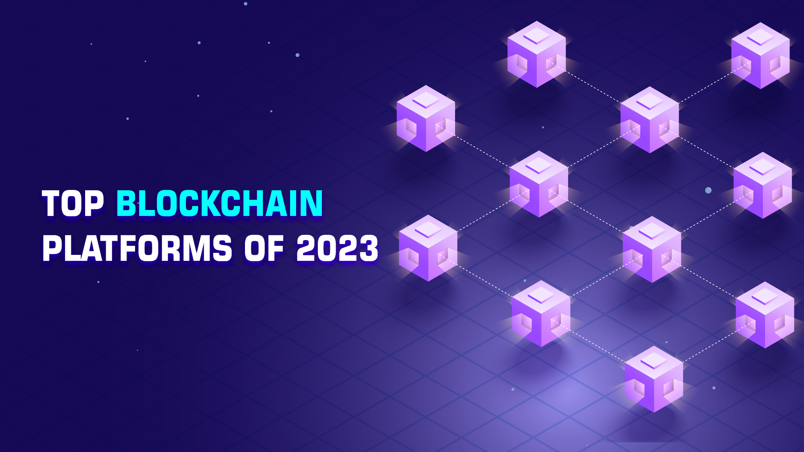 Blockchain Platforms