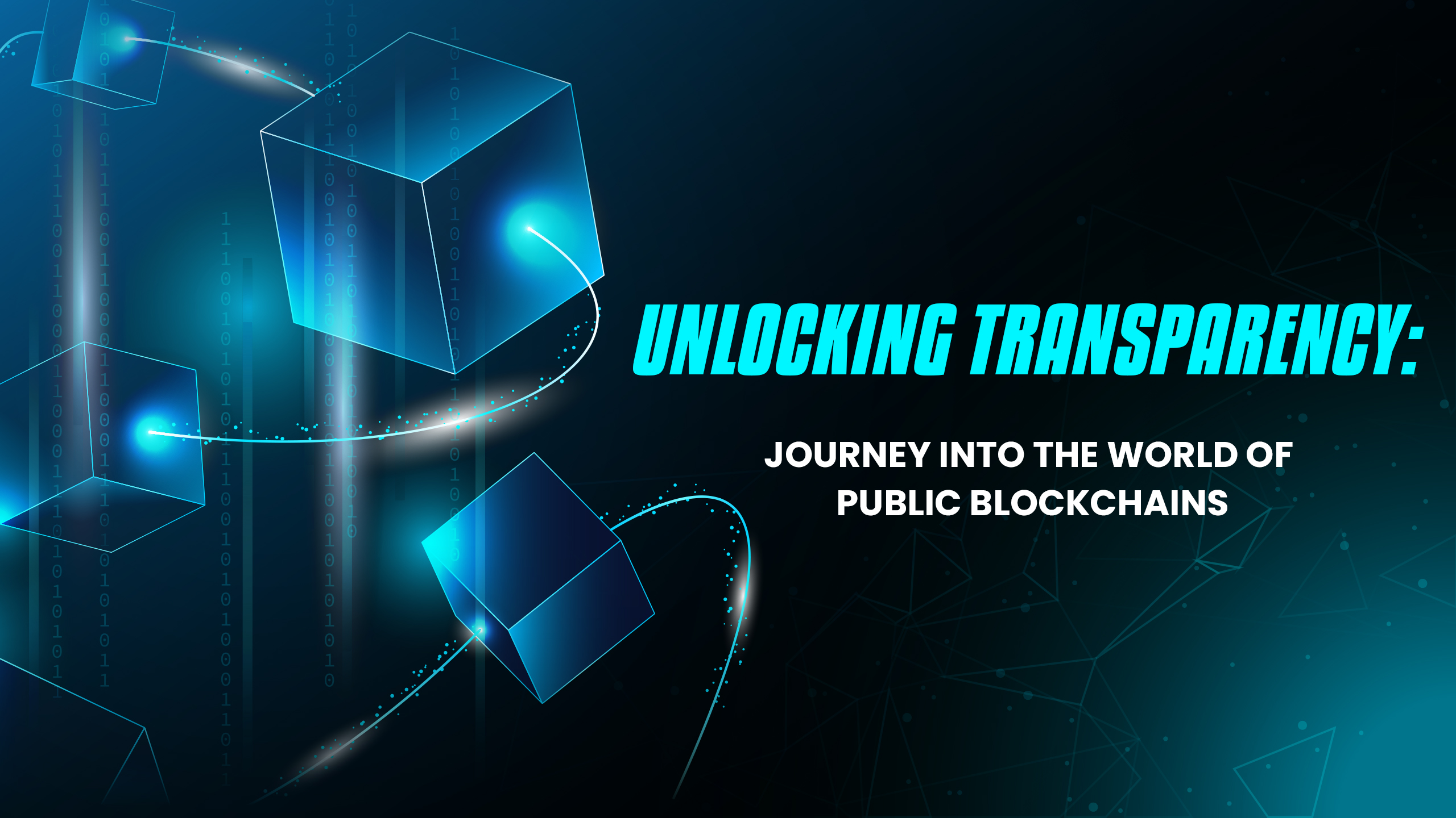 Public Blockchains